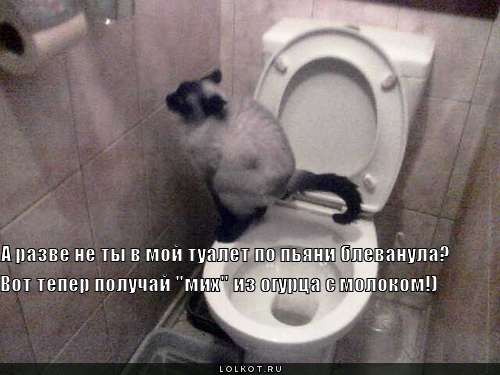 мих