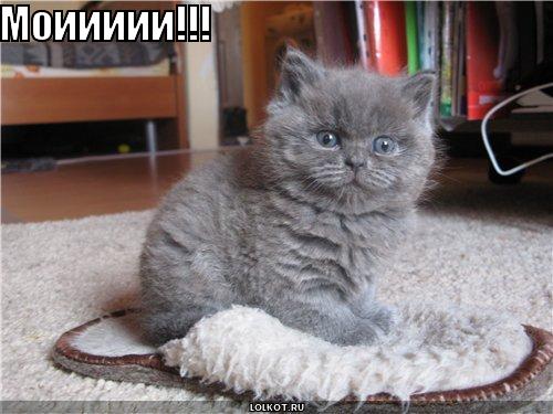 мои!