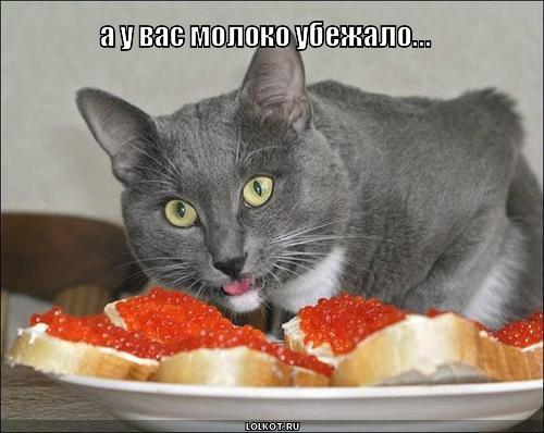 молоко убежало