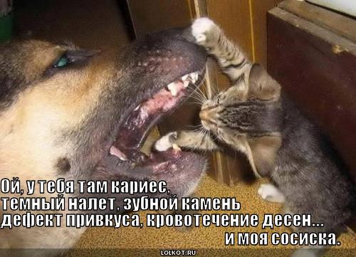 моя сосиска