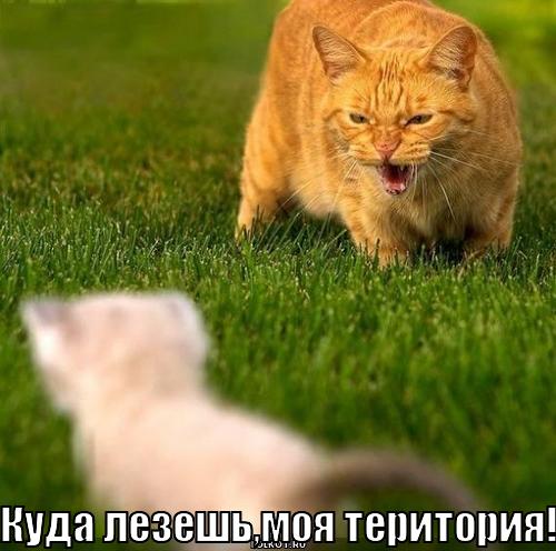 моя територия!