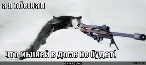 мышей не будет!