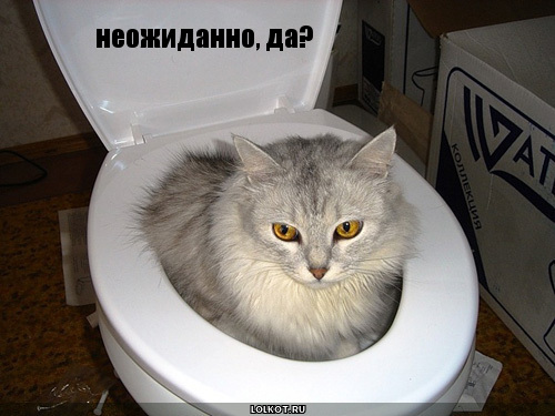 неожиданно