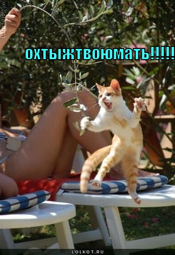 охтыжтвоюмать!