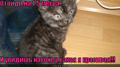 отойди на 1.5 метра