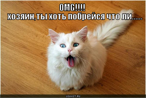 побрейся!
