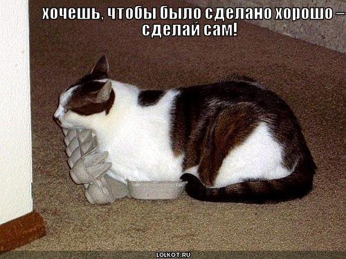 сделай сам!