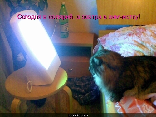сегодня в солярий