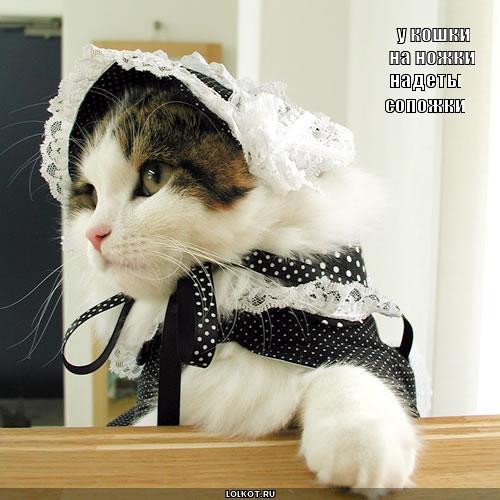 сопожки