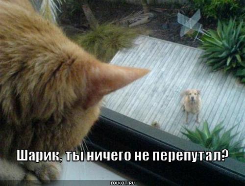 ты не перепутал?