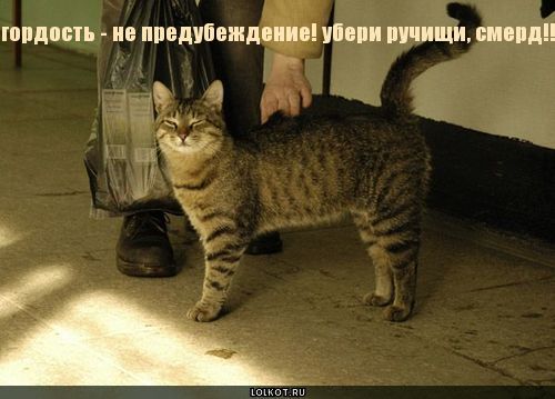 убери ручищи