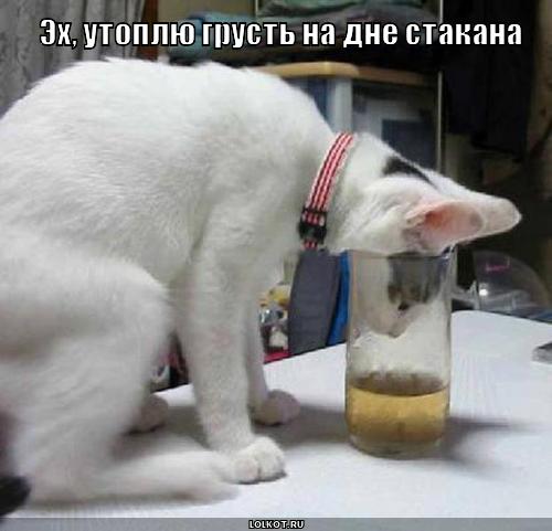 утоплю грусть