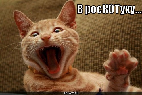 в роскотуху