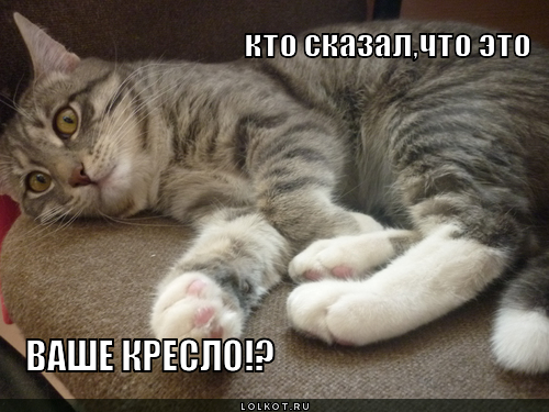 ваше кресло!?