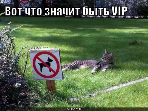 vip