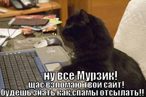 взломаю сайт!