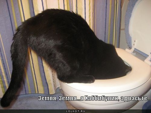 Я - Хаббибулин! 