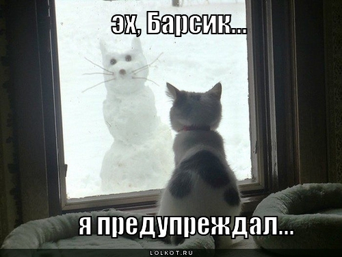 я предупреждал