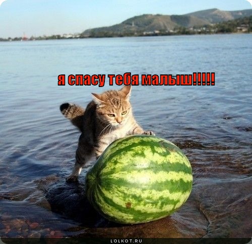 я спасу тебя!