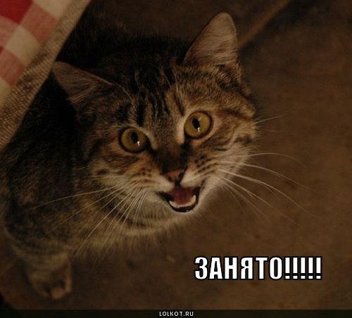 занято!