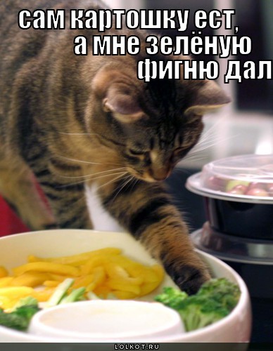 зелёная фигня