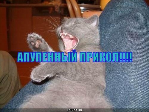 апупенный прикол!