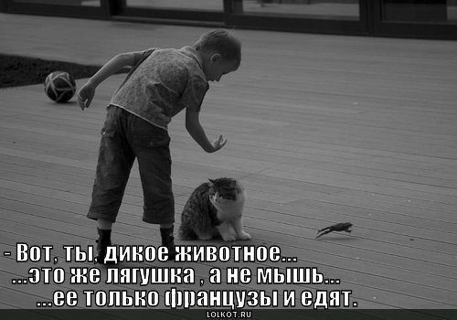 дикое животное
