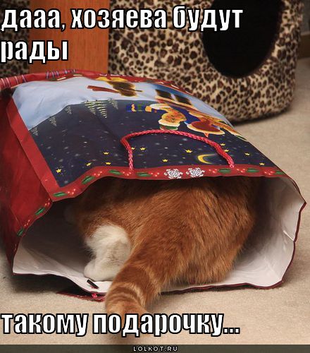 хозяева будут рады