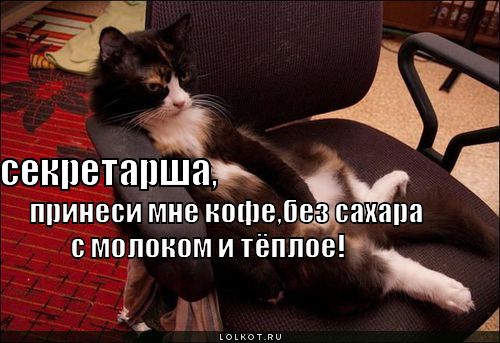 кофе без сахара