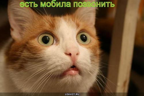 мобила