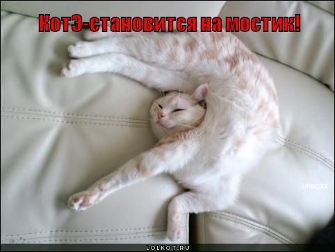 мостик
