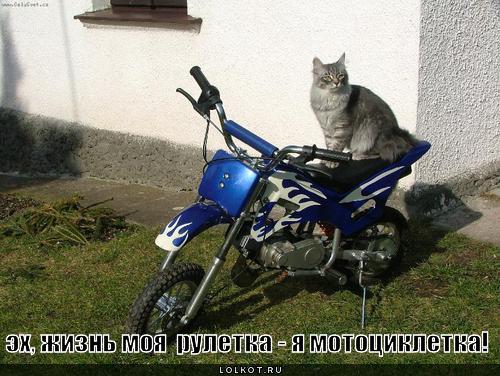 мотоциклетка