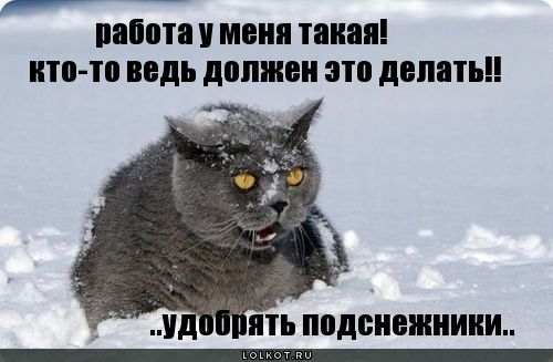 работа такая!