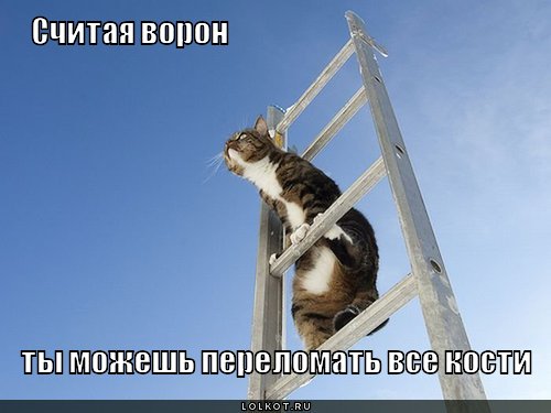 считая ворон