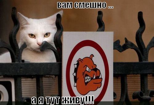 вам смешно