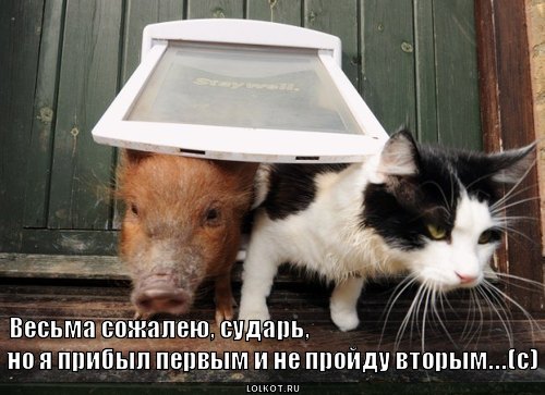 весьма сожалею