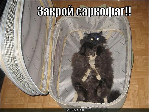 закрой саркофаг!