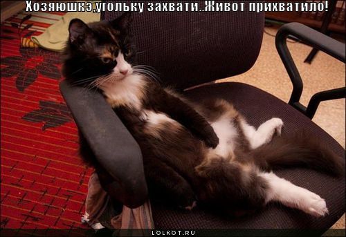 живот прихватило