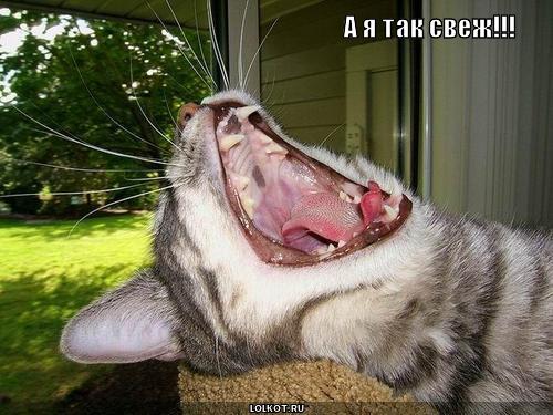 а я так свеж!!!