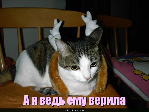 а я верила