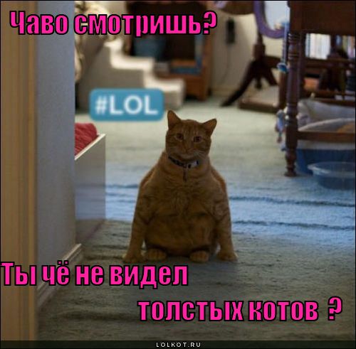чаво смотришь?