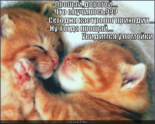 что случилось?