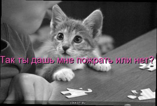 дашь пожрать?