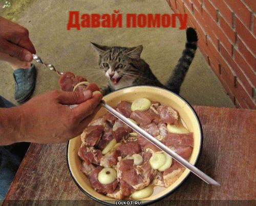 давай помогу