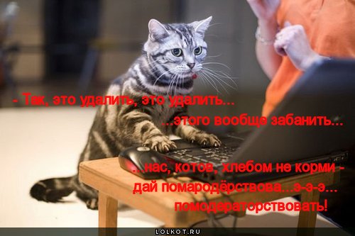 дай помодераторствовать