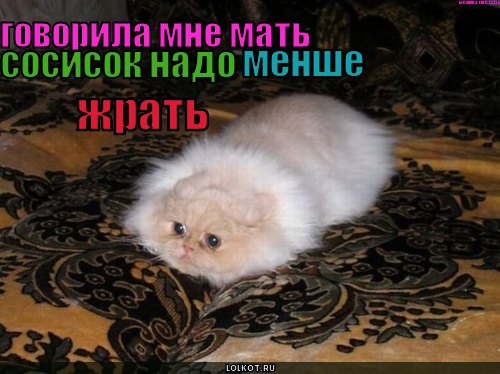 говорила мне мать