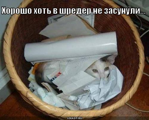 хорошо