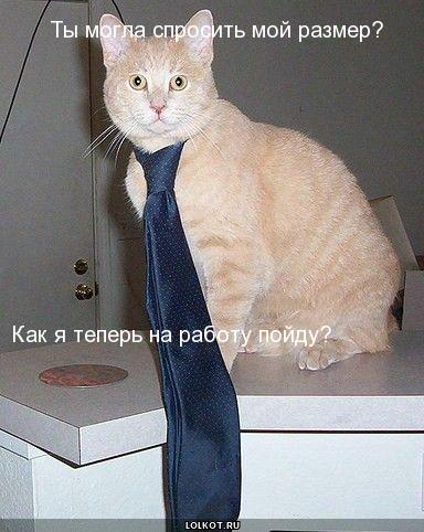 мой размер?