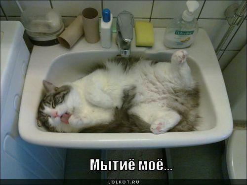 мытиё моё...