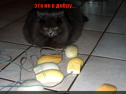 не к добру